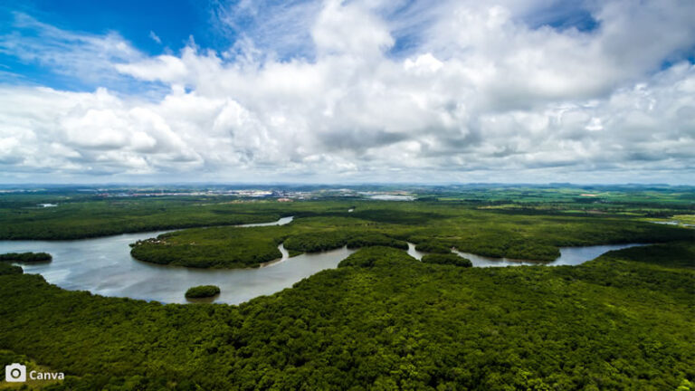 Hotéis de Selva na Floresta Amazônica