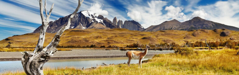 upack-patagonia-chilena-capa-