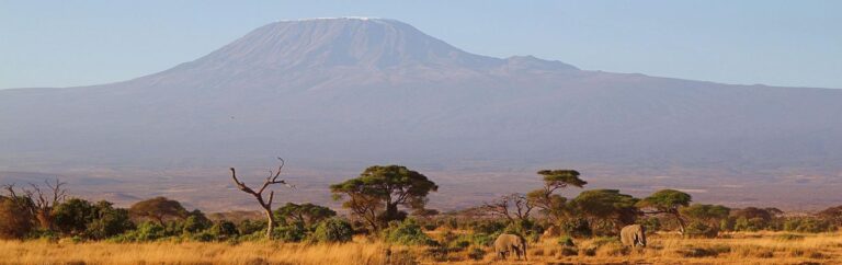 Parque Nacional Amboseli - Parque