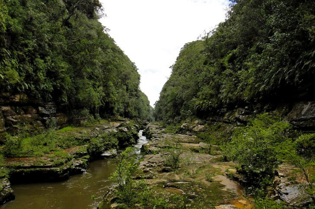 Cânion do Rio