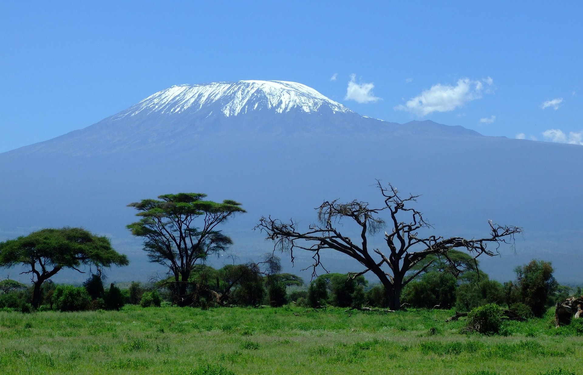 monte kilimanjaro