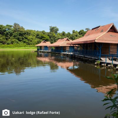 Uakari Lodge - Hotel na Amazônia
